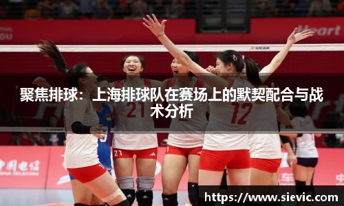 聚焦排球：上海排球队在赛场上的默契配合与战术分析