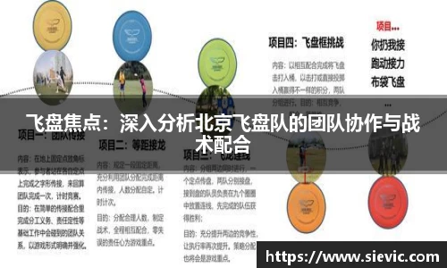 飞盘焦点：深入分析北京飞盘队的团队协作与战术配合